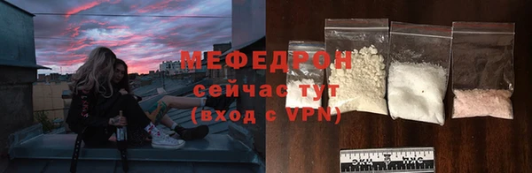 spice Богородск