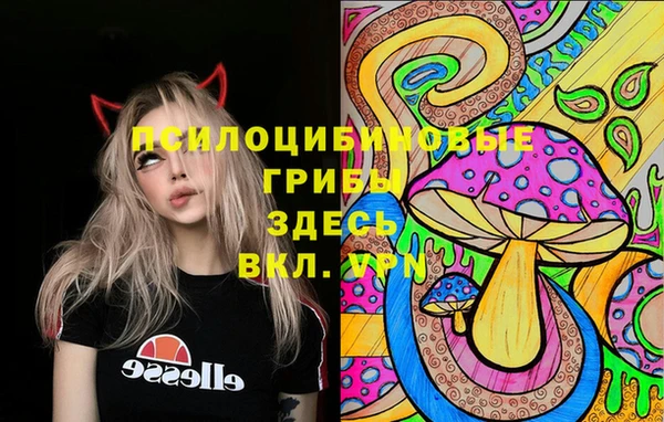 прущий лед Бронницы