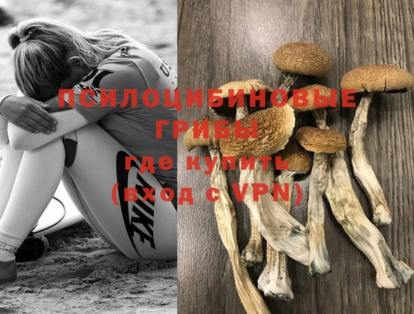 амфетамин Богородицк