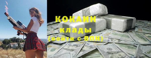 spice Богородск